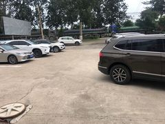 -金台阶鱼馆(于桥水库店)
