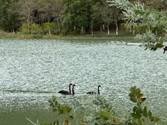 -广州白江湖森林公园