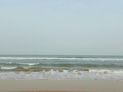 -日照海滨国家森林公园