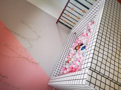 -美的鹭湖探索王国