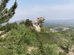 -乌素图国家森林公园