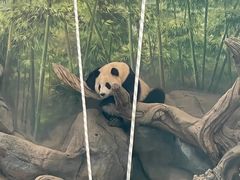 -武汉动物园