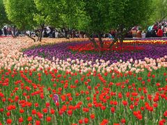 -长春公园(普阳街道)