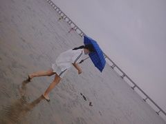 -南汇嘴观海公园