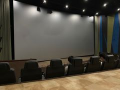 -天幕新彩云国际影城(激光巨幕店)