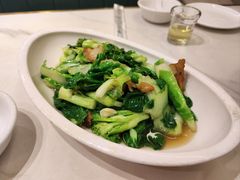 -刘胖子家常菜·蹄花焖藕(中南店)