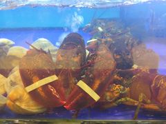 -南海渔家•海鲜•正宗海南菜(海棠湾店)