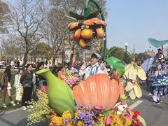 -荷兰花海