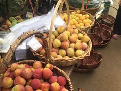 采摘-意大利农场度假村