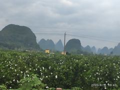 -舌尖上的米粉(阳朔二店)