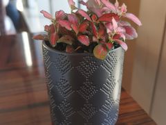 -广交会威斯汀酒店