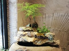 -娄三少·老北京春饼烤鸭家常菜(方庄店)