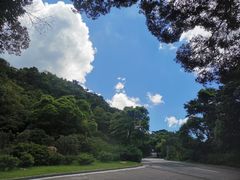 -梧桐山风景名胜区