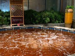 -弘安丽水温泉酒店
