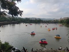 -枫香湖儿童公园