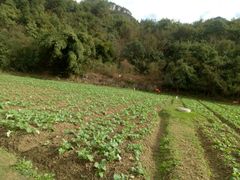 -贵阳市花溪国家城市湿地公园