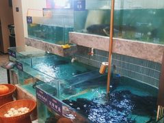 -鱼你相聚·河鲜馆(袁家岭店)