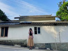 -南山植物园