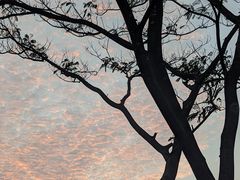 -火炉山森林公园