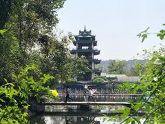 -桂湖森林公园