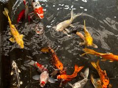 -天津海河悦榕庄·Lobby Lounge大堂吧