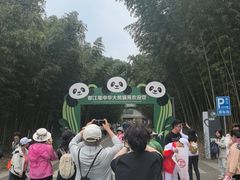 -都江堰中华大熊猫苑