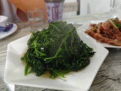 -品雅轩农家乐
