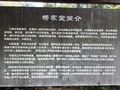 -杨家堂村