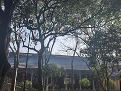 -韬光茶庵