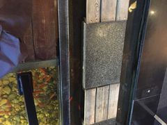 -颐和•海鲜砂锅粥•啫啫煲(奥林匹克广场店)