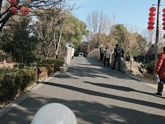 -昆山城市生态森林公园