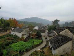 -塔川景区