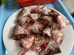 鲮鱼头-章记正宗南岗鱼蛋火锅