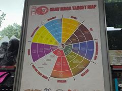 -极斗-IKMF马伽术·格斗运动学院(东直门店)