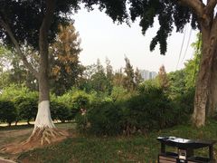 -白鹭洲公园