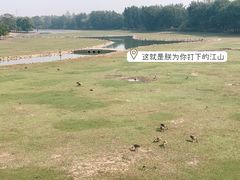 -北京麋鹿生态实验中心