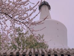 -北海公园