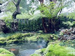 -Chom Cafe and Restaurant