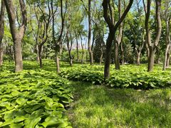 -玲珑塔公园