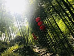 -山沟沟景区