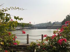 -观澜山水田园
