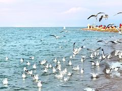 -青海湖二郎剑景区