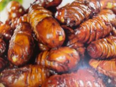 -伊通烧鸽子碳缸烧烤海鲜(隆礼胡同店)