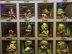 -芸山季·云南山珍菌火锅(南翔印象城MEGA店)