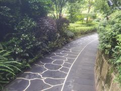 -腾冲洞山温泉村