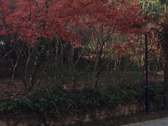 -白马涧龙池景区