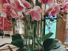 -上海小南国(国发店)