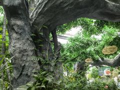 -滕头生态酒店(奉化店)