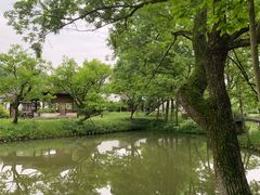 -西溪国家湿地公园