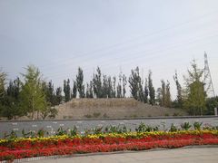 -永定河休闲森林公园